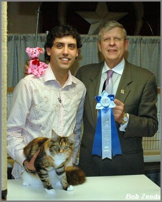Best Kitten2